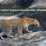 Jawai Panther Safari: Explore Granite Hills, Wildlife, and Village Life from Udaipur