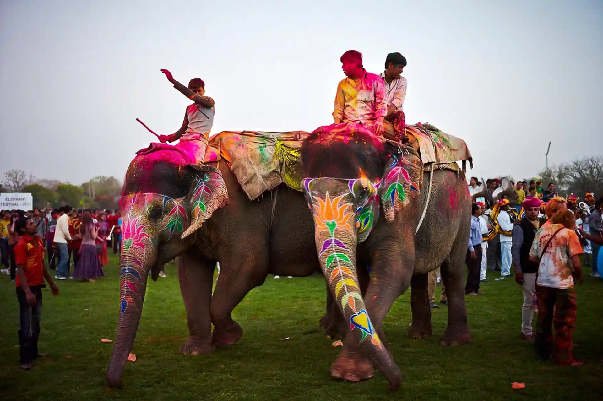 Elephant Fair