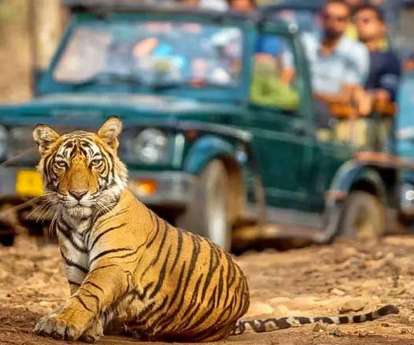 Ranthambore National Park