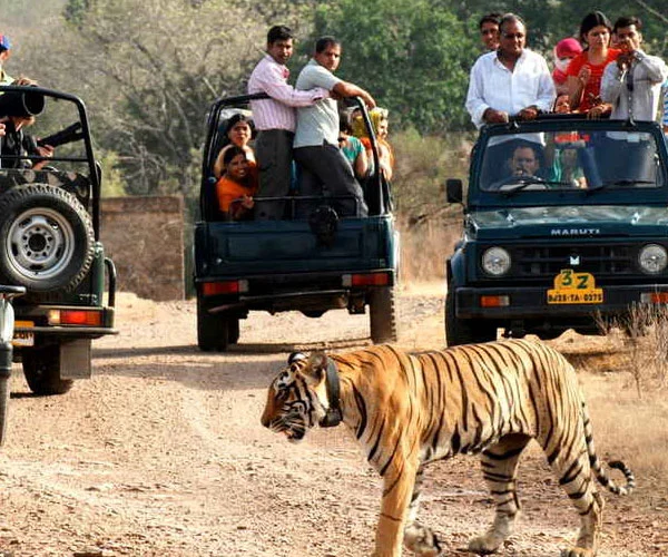 Sariska National Park